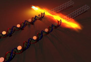 Новая технология создания листов графена на основе ДНК 