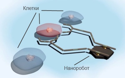 С нанодвигателей можно сосздавать нанороботы для лечения болезней прямо внутри организма