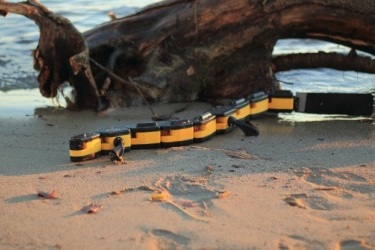 Робот-саламандра может двигаться как по суше, так и по воде